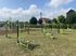 Aparat de vâslit fitness pentru exterior - BGL-7816 imagine 3
