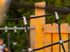 Traseu de aventură mare structură de frânghii din salcâm cu tobogan - BGL-8422 imagine 4